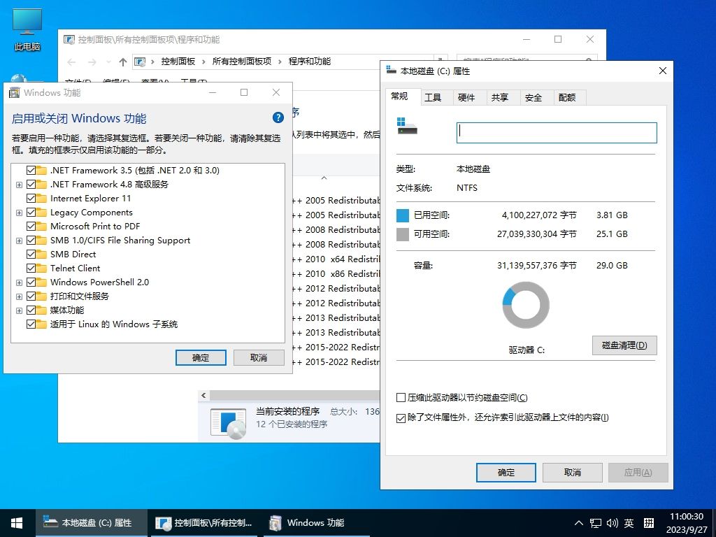 XXWindows10LTSC2019SDJJ.jpg